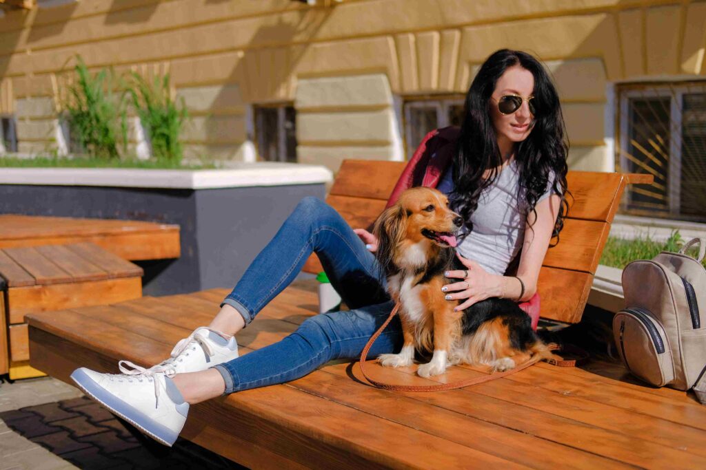 How Dog boarding Dubai Keeps Your Pet Happy during Vacations